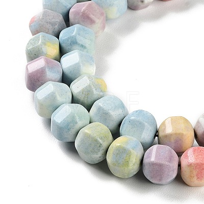 Natural Rainbow Alashan Agate Beads Strands G-NH0022-B01-02-1