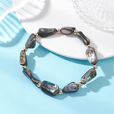 Natural Abalone Shell/Paua Shell Beads Stretch Bracelets for Women Men BJEW-JB13544-1