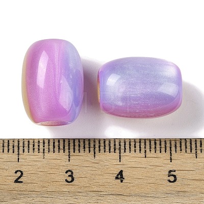 Triple Color Resin European Beads RESI-F055-13I-1