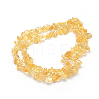 Natural Citrine Beads Strands X-G-P332-51-1