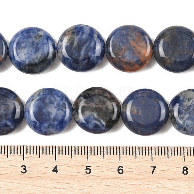 Natural Sodalite Beads Strands G-L648-B07-15mm-1