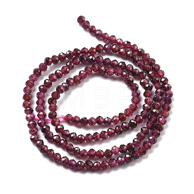 Natural Garnet Beads Strands G-H079-A01-02B-1