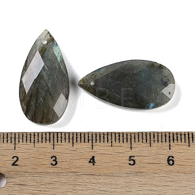 Natural Labradorite Pendants X-G-C140-05J-1