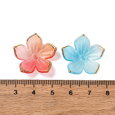 Transparent Acrylic Bead Caps TACR-P011-03G-1