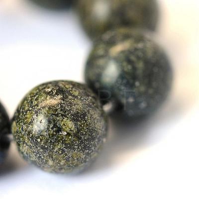 Natural Serpentine/Green Lace Stone Round Bead Strands G-E334-8mm-14-1
