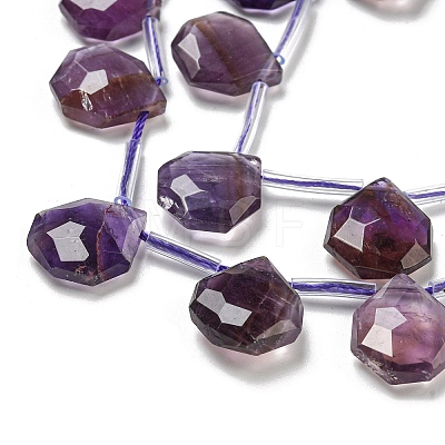 Natural Amethyst Beads Strands G-P544-C01-01-1