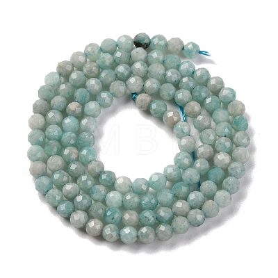 Natural Amazonite Beads Strands G-A235-A04-01-1