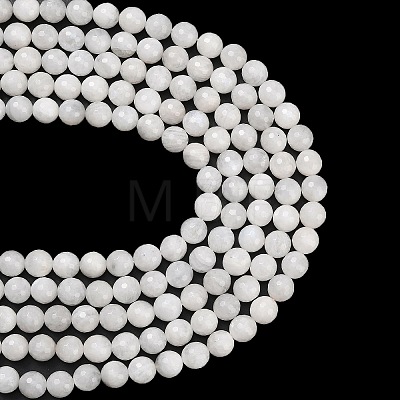 Natural Rainbow Moonstone Beads Strands G-C280-B15-10mm-1