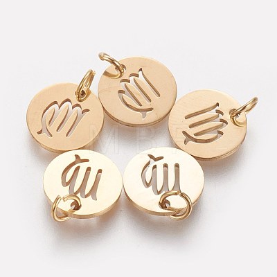 304 Stainless Steel Charms STAS-Q201-T445-6G-1