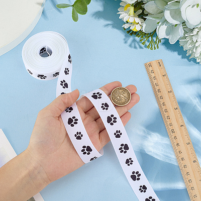 Polyester Ribbons OCOR-WH0120-47B-1