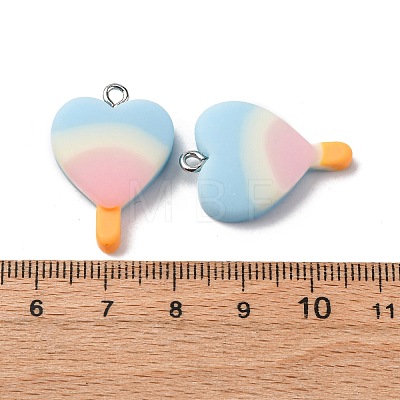 Resin Pendants CRES-U007-01P-02-1