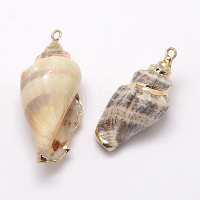 Golden Electroplated Conch Shell Pendants X-BSHE-M016-02-1