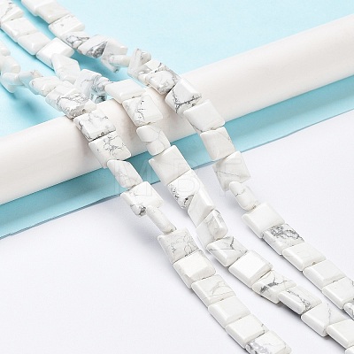 Natural Howlite Beads Strands G-K337-05-1