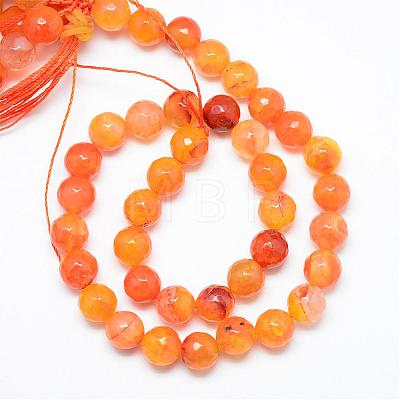 Natural Agate Bead Strands G-R346-8mm-23-1