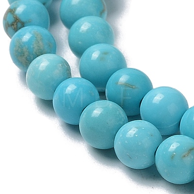 Natural Howlite Beads Strands G-E604-B04-B-1