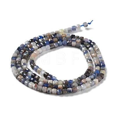 Natural Sodalite Beads Strands G-J400-A06-01-1