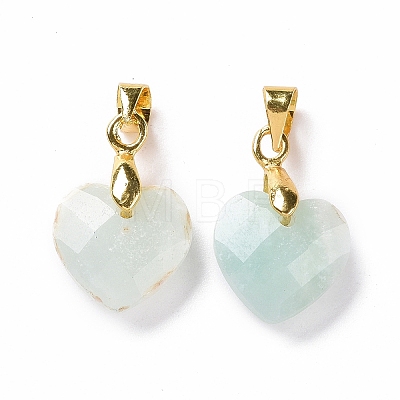Natural Amazonite Pendants G-C023-07F-1