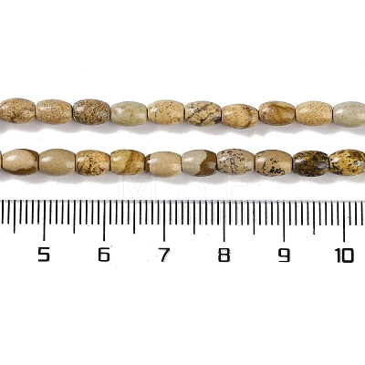 Natural Picture Jasper Beads Strands G-K362-I06-01-1