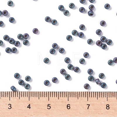 MIYUKI Round Rocailles Beads SEED-G008-RR2009-1
