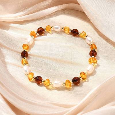 Natural Amber & Cultured Freshwater Pearl Beaded Stretch Bracelets for Women BJEW-JB13699-02-1