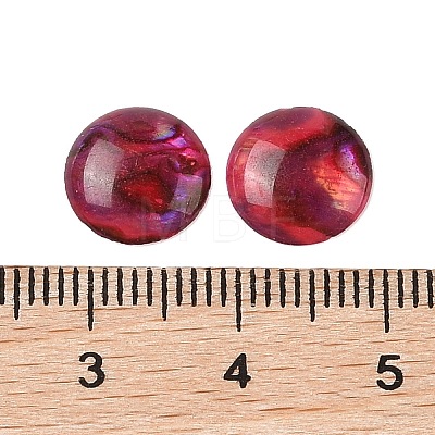 Natural Abalone Shell/Paua Shell Resin Cabochons X-SSHEL-K003-10MM-02-1