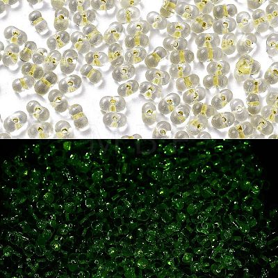 Luminous Glass Seed Beads X1-SEED-A033-07K-1
