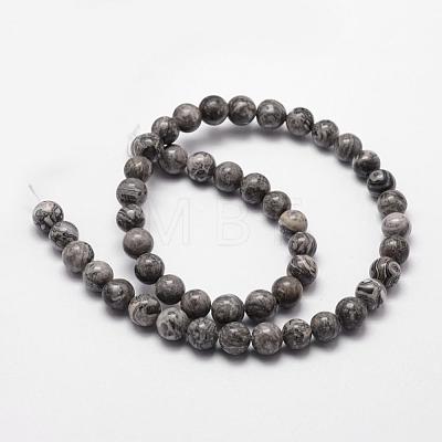 Natural Map Stone/Picasso Stone/Picasso Jasper Bead Strands G-D840-60-8mm-1