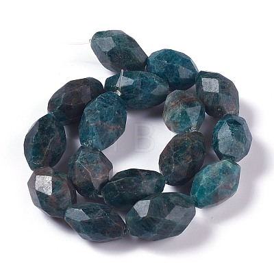 Faceted Natural Apatite Beads Strands G-H242-03-1