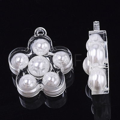 Transparent Acrylic Pendants TACR-R146-001-1