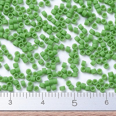 MIYUKI Delica Beads X-SEED-J020-DB0754-1