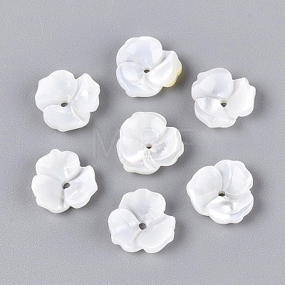 Natural White Shell Beads BSHE-T014-50-1