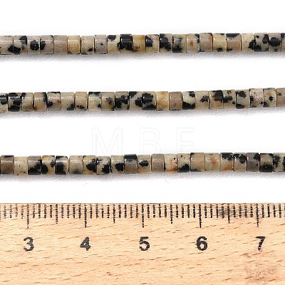 Natural Dalmatian Jasper Beads Strands G-P608-A04-01-1
