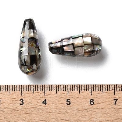 Natural Paua Shell Beads SSHEL-B002-10B-02-1