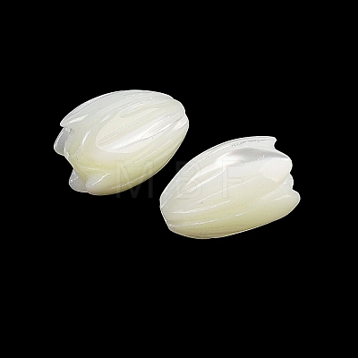 Natural Trochus Shell Flower Beads BSHE-G036-07-1