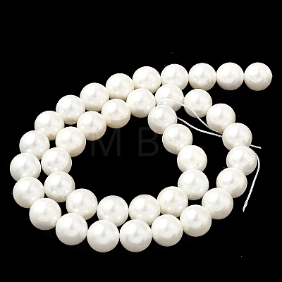 Shell Pearl Beads Strands BSHE-K015-10mm-03-1