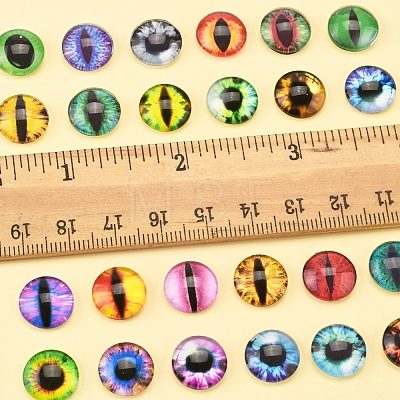 60Pcs Half Round with Eye Glass Cabochons GGLA-FS0001-16A-1
