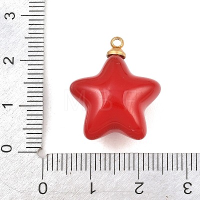 304 Stainless Steel Resin Pendants STAS-K322-10D-02-1