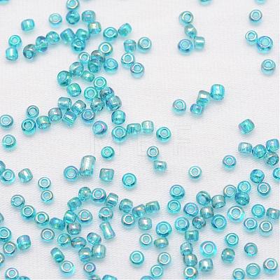 6/0 Round Glass Seed Beads X-SEED-J011-F6-179-1