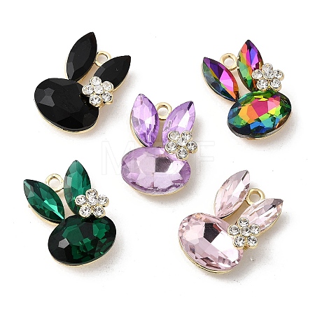Alloy Rhinestone Pendants FIND-H055-08G-1