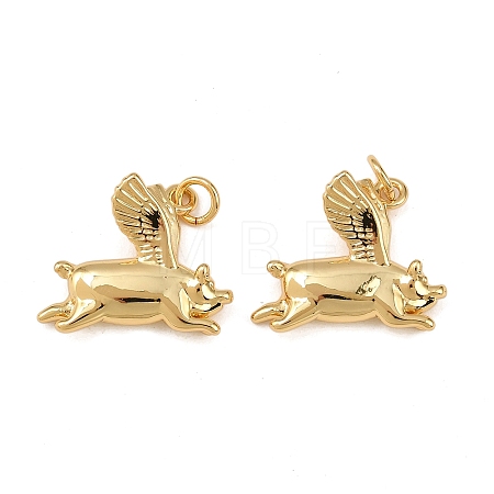 Brass Pendants KK-L255-20G-01-1