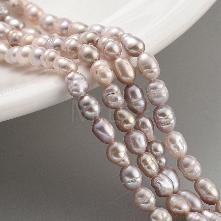 Natural Cultured Freshwater Pearl Beads Strands PEAR-P062-04A-1