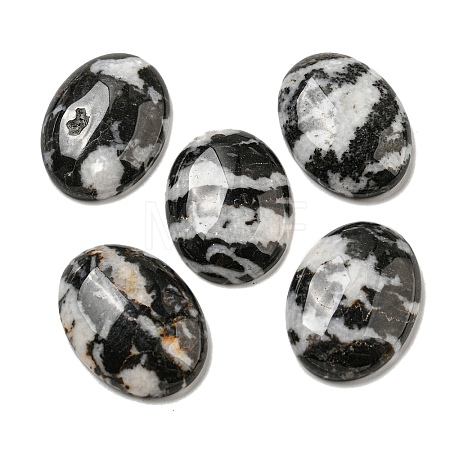 Natural Zebra Jasper Cabochons G-C115-01B-39-1