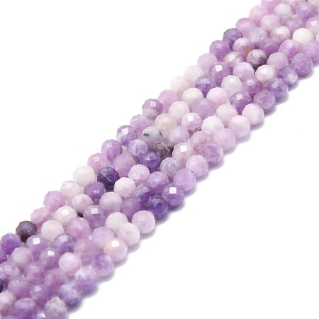 Natural Lepidolite/Purple Mica Stone Beads Strands G-P457-A04-01-1