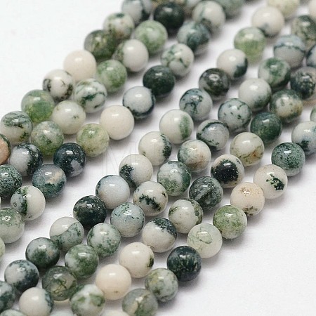 Natural Tree Agate Beads Strands G-N0192-01-3mm-1