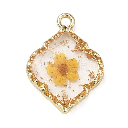 Alloy Epoxy Resin Pendants AL-Z001-08G-01-1