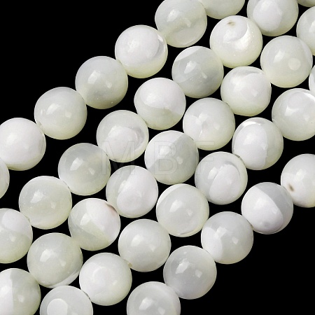 Natural Trochid Shell/Trochus Shell Beads Strands SH-CBA2978-16B-1