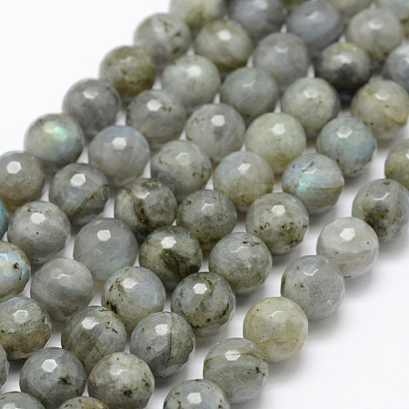 Natural Labradorite Beads Strands G-P322-28-10mm-1