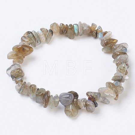 Natural Labradorite Stretch Bracelets BJEW-JB03681-07-1