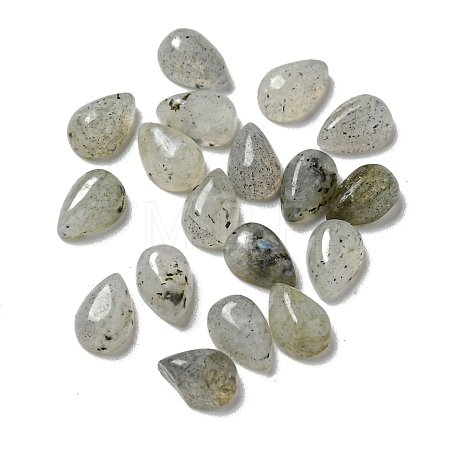 Natural Labradorite Cabochons G-Q173-02A-07-1