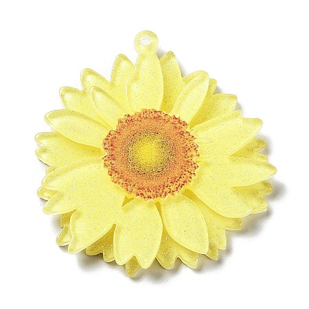 Printed Transparent Acrylic Pendants X-SACR-P029-B04-1